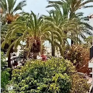 Old Town , Estepona Spagna